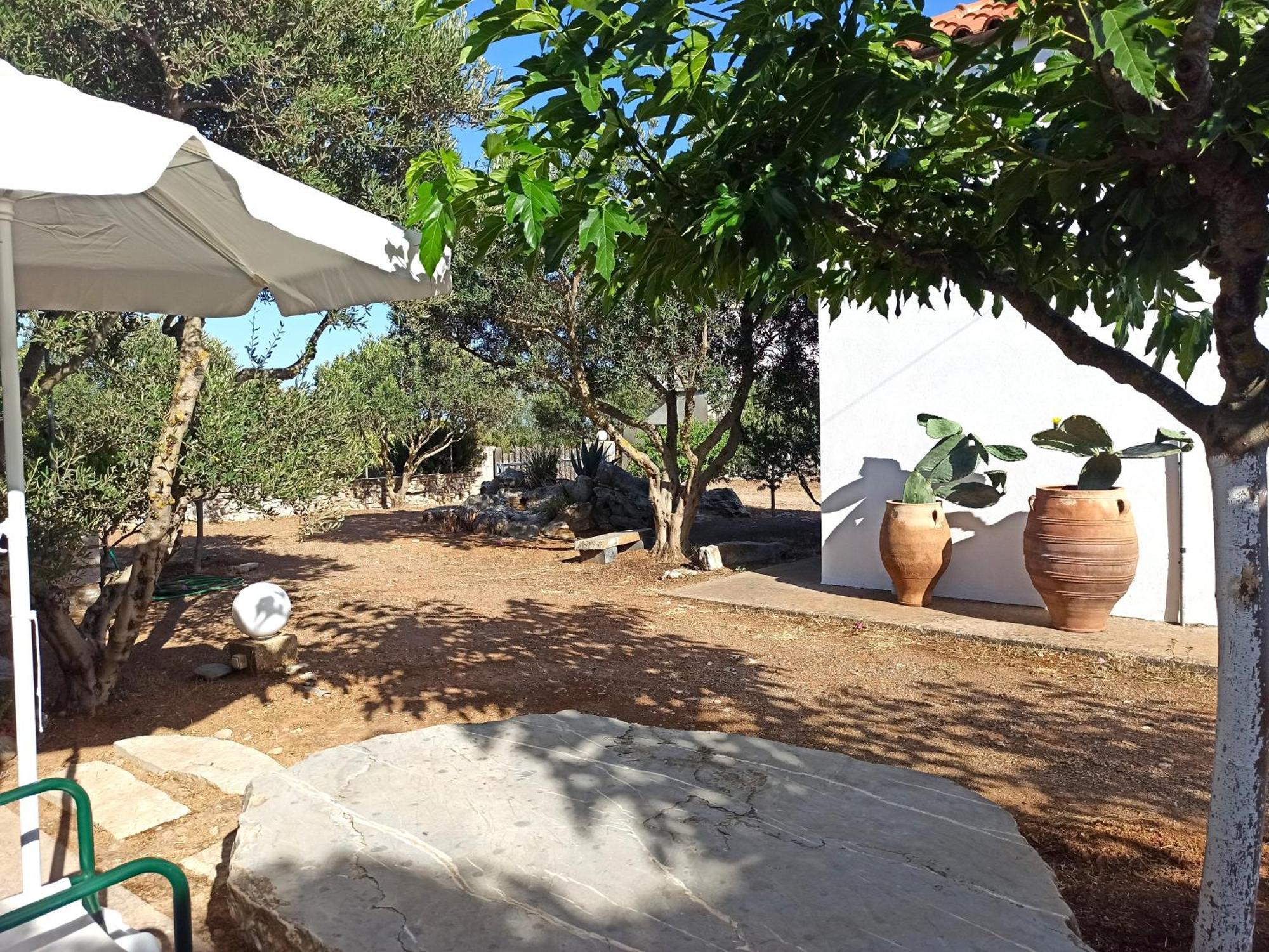 Kastraki Art Houses Kousounarion エクステリア 写真